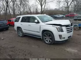 6527412 Cadillac Used Headrest Fits 2016 Escalade Grade A #2